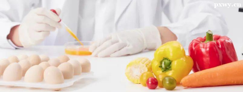 2024�꿼�����I�B�����ҹ�����