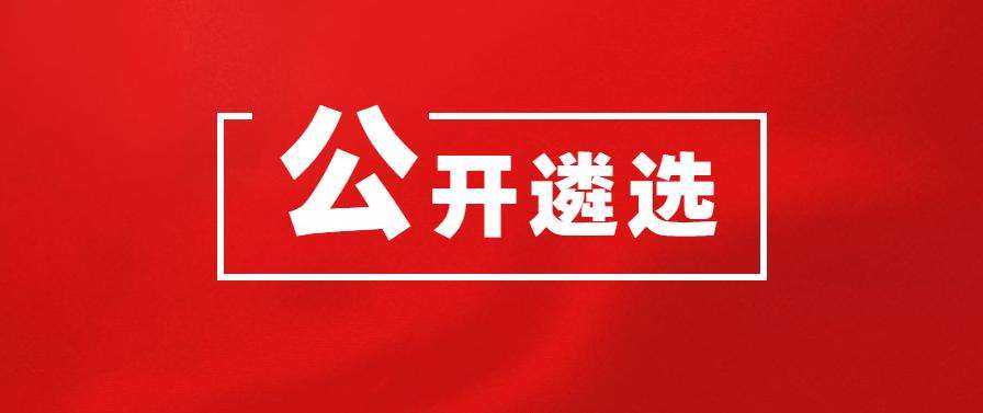 2021ɽ|ʡ(j)C(j)P(gun)_(ki)x(w)Tl(f)