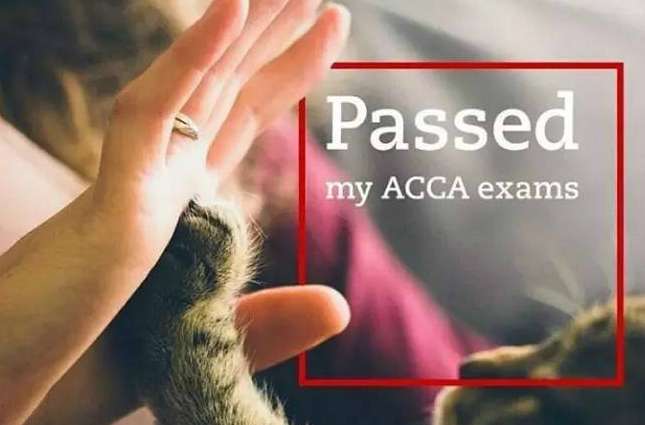 ACCA考試P階段的包括哪些考試科目?
