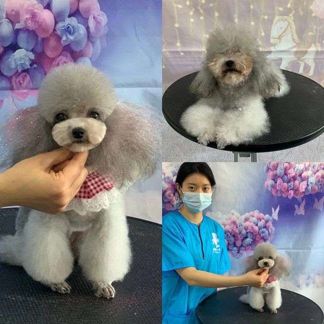 �������ݎ�һ��(g��)�´�Ŷ����X(qi��n)��