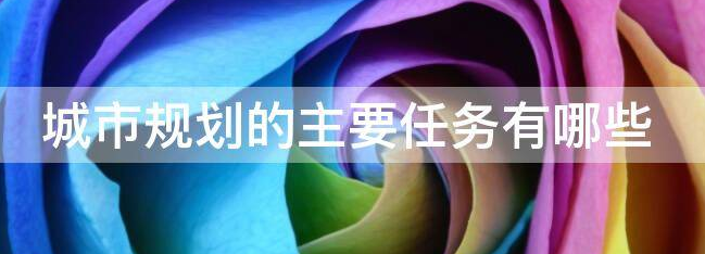 Ҏ(gu)ҪҎ(gu)΄(w)ʲô