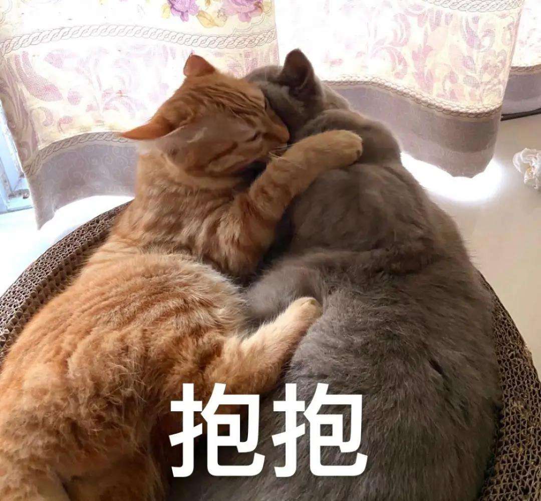 ԃAӖnУԽ翼ԼԽã