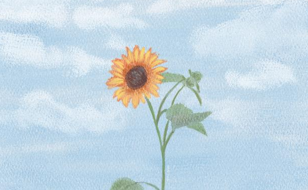 (bo)עԕ(hu)Ӌ(j)Ҫʲôl