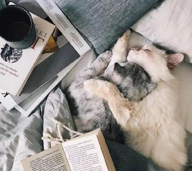 初級經濟師考試什么題型