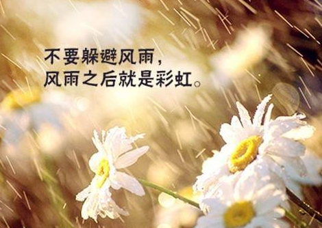 2022Yϰ(bo)r(sh)g ̖(ho)ԇ