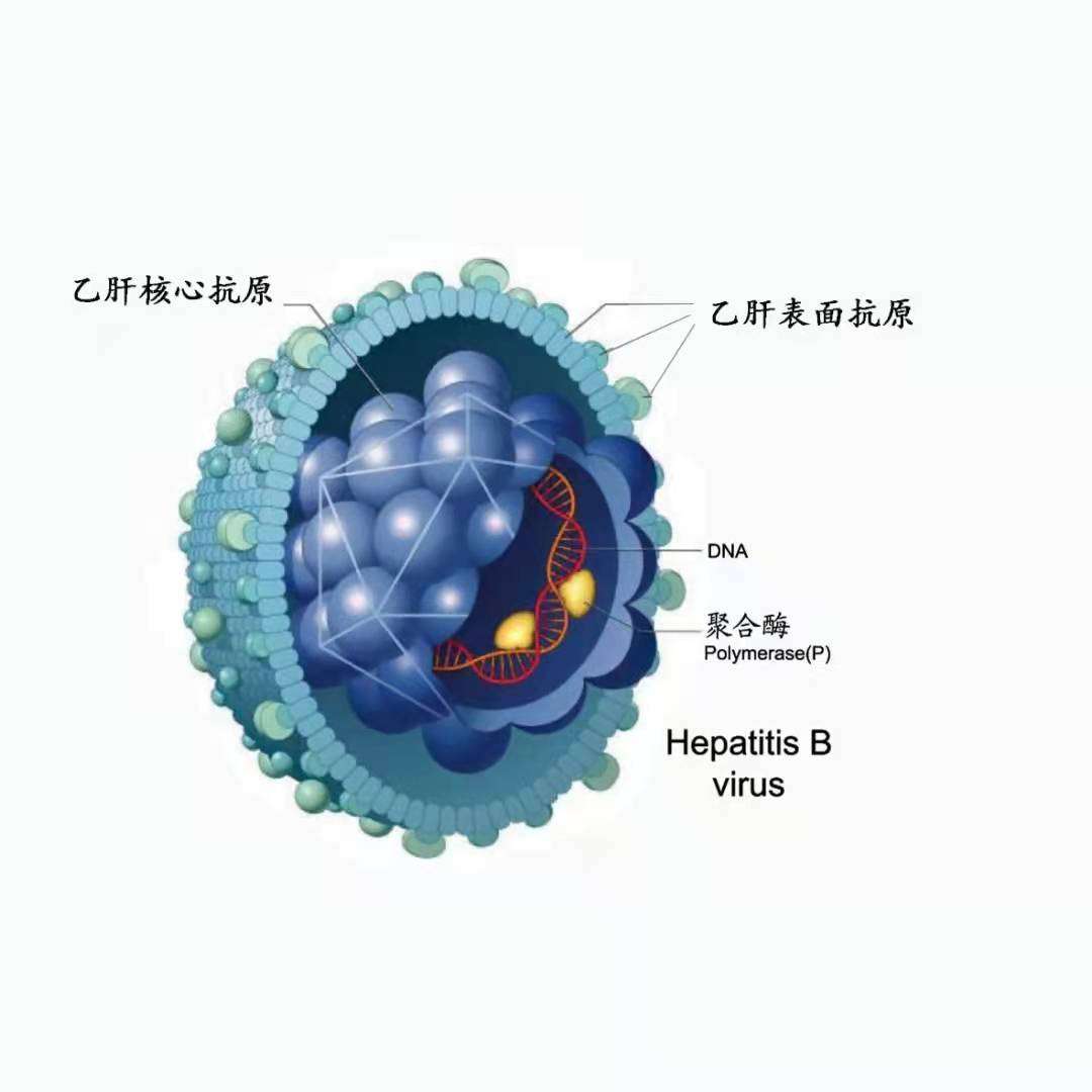 ʲôt(y)Y(ji)ϿҸθ߃(yu)