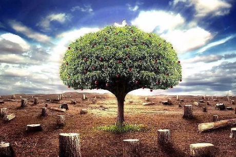 h(hun)Ӱu(png)ԇl֪R(sh)c(din)