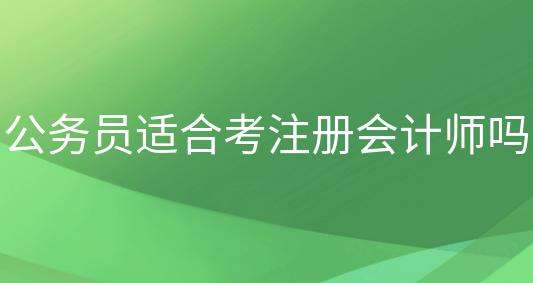 公務員適合報考注冊會計師嗎