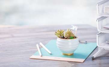 注冊會計師考試提前預習有哪些好處