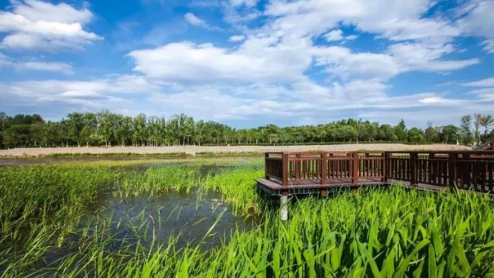 h(hun)Ӱu(png)ԇB(ti)L(fng)U(xin)u(png)r(ji)