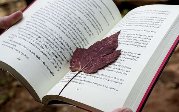 һ���������̎���ԇ����������ø���