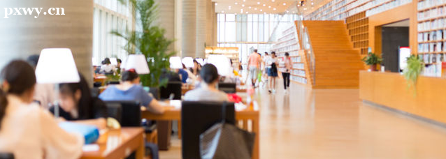 初級會計師應具備的能力