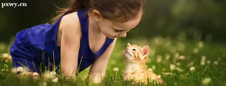Ӳ׌Ըĺӿ
