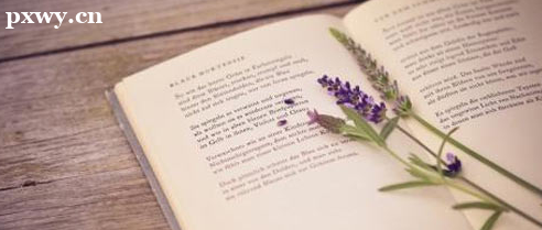 (j)(hu)Ӌ(j)ʲôĿ ĿҪδ