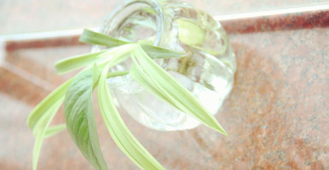 ĴIB󿼗l2022Ҏ ʲôr