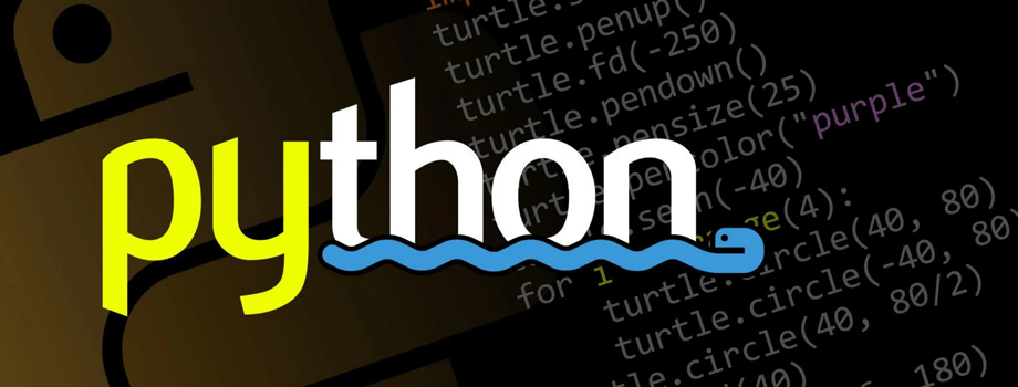 LɳPythonӖWPython܏ʲô