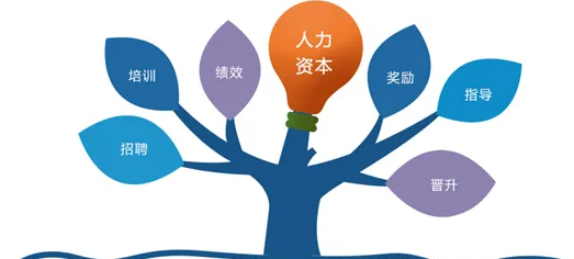 三級(jí)人力資源管理師的含金量