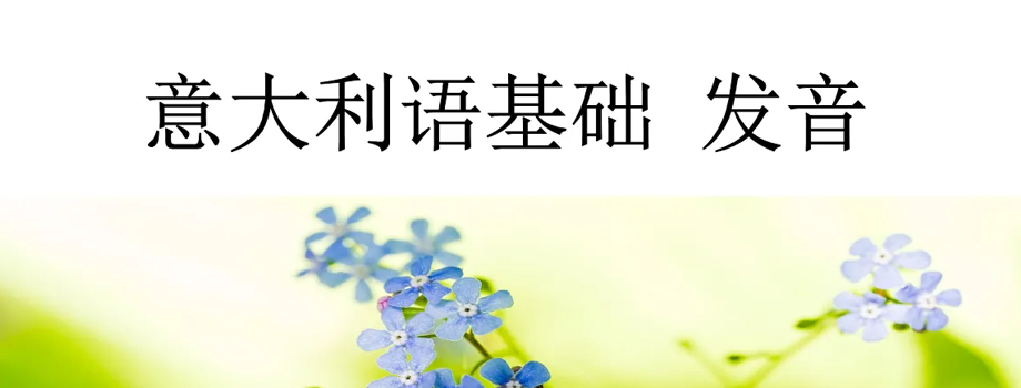 石家莊小語(yǔ)種培訓(xùn)意大利語(yǔ)怎么學(xué)比較好