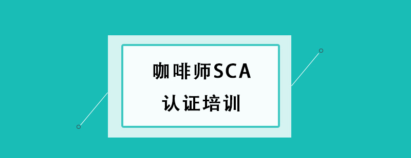 ȎSCAJ(rn)CӖ(xn)