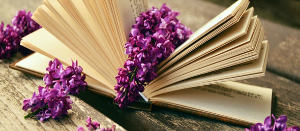 2022年12月英語四六級成績什么時候出