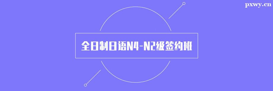 ȫZN4-N2sӖ