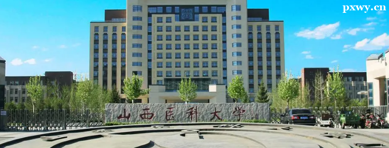 ���t�W���п��Կ�ʲô��W