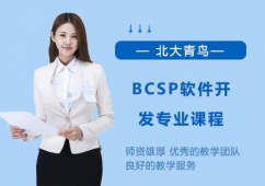 BCSPܛ_lIn