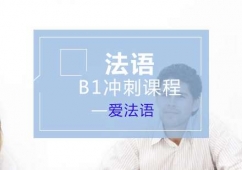 法語B1沖刺