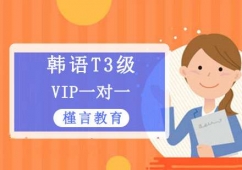 nZT3VIPӖn