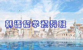 滄州韓語(yǔ)留學(xué)預(yù)科班