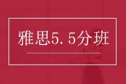 ˼ͻ5.5n