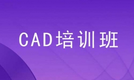 ҿCADӖ