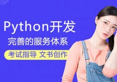 Python_ln