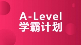 ɶA-LevelW(xu)Ӌ(j)