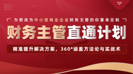 佛山財(cái)務(wù)主管(商業(yè))直通計(jì)劃