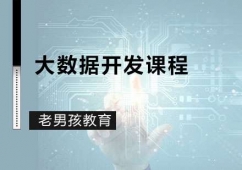 深圳大數據開發