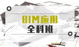 BIMȫư