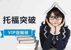 ɶиͻvipӖn
