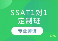 LSSAT11Ӗ