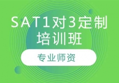 LSAT1(du)3Ӗ(xn)