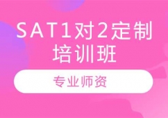 LSAT1(du)2Ӗ(xn)