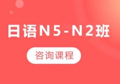 VZN5-N2nӖ