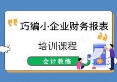 巧編小企業(yè)財(cái)務(wù)報(bào)表培訓(xùn)課程