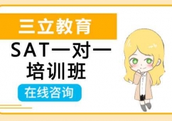 沈陽(yáng)SAT一對(duì)一培訓(xùn)班