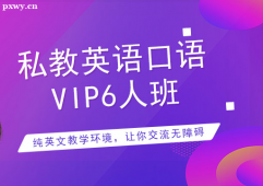 ό˽ӢZZVIP6Ӗn