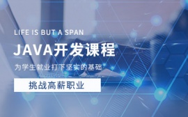LɳJAVAƷӖ(xn)n