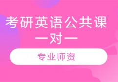 天津考研英語公共課一對一輔導班