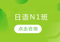 ZN1Ӗ