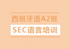 ZA2Ӗ