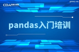 pandasTӖ